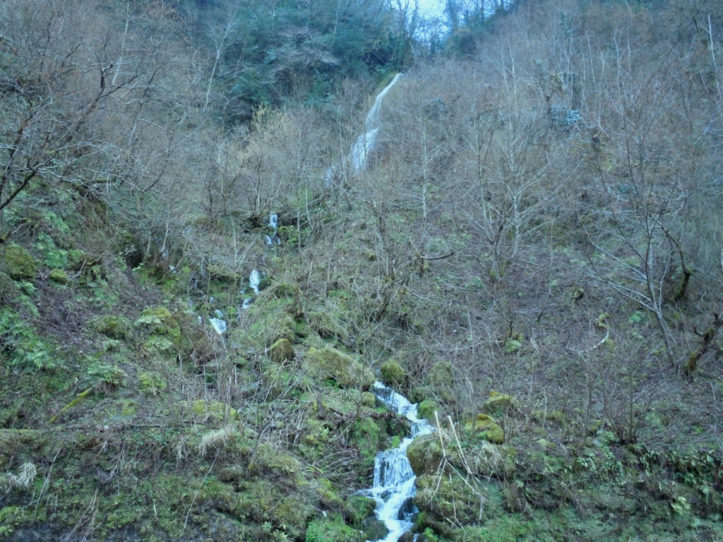 dscn0452